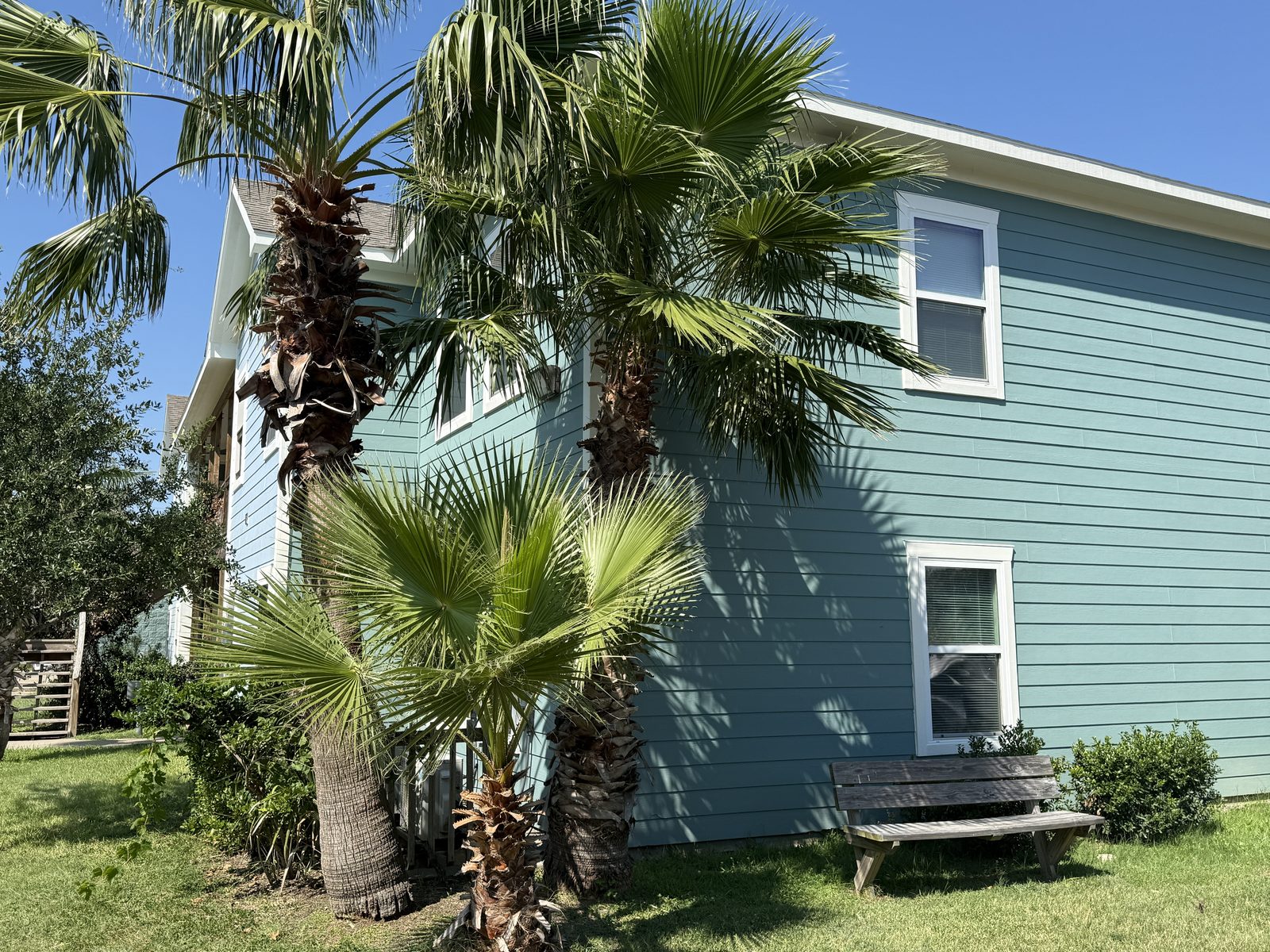 UAG apartment building framed by palm trees