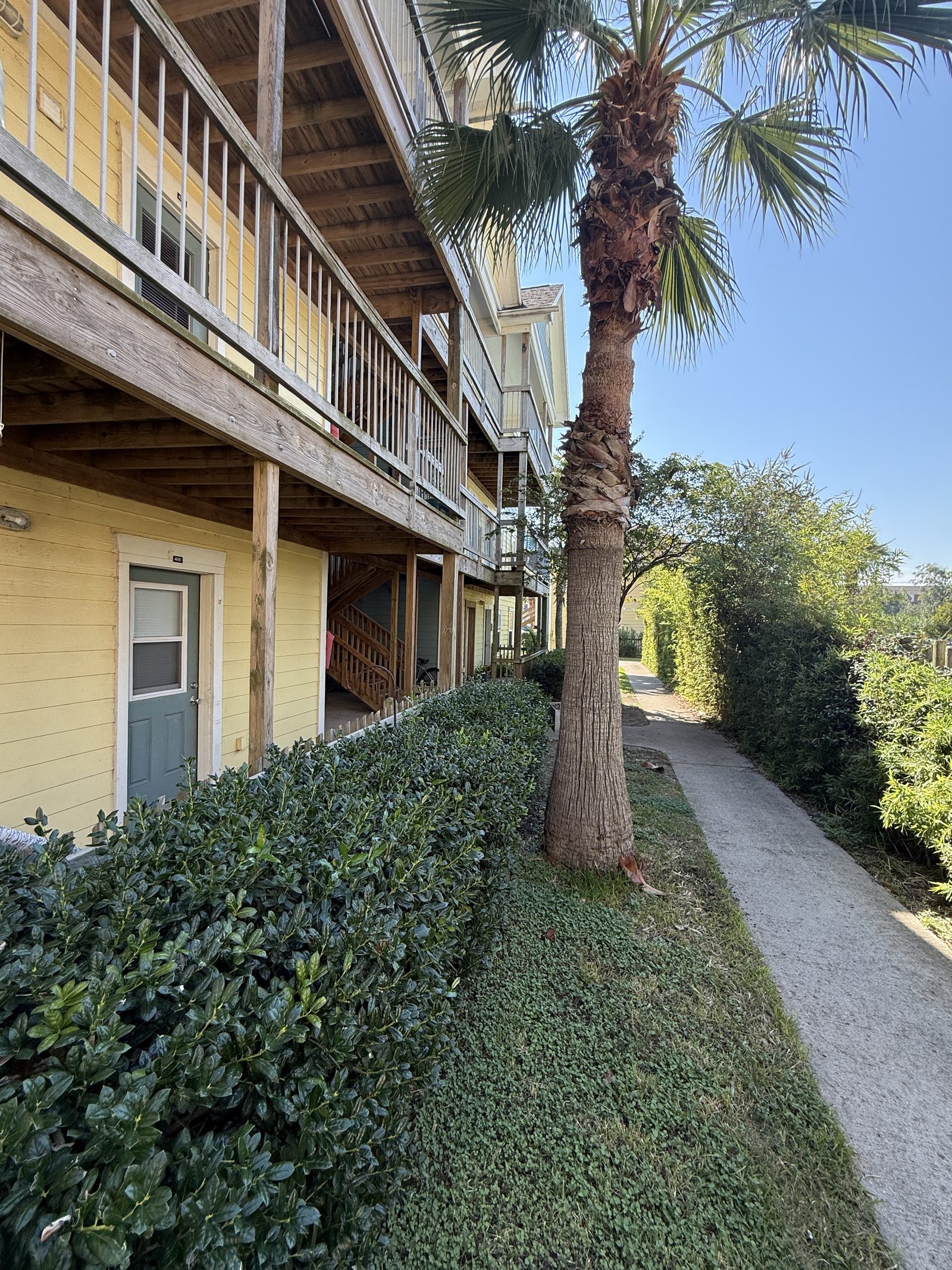 Landscaped walkway beside a UAG apartment building
